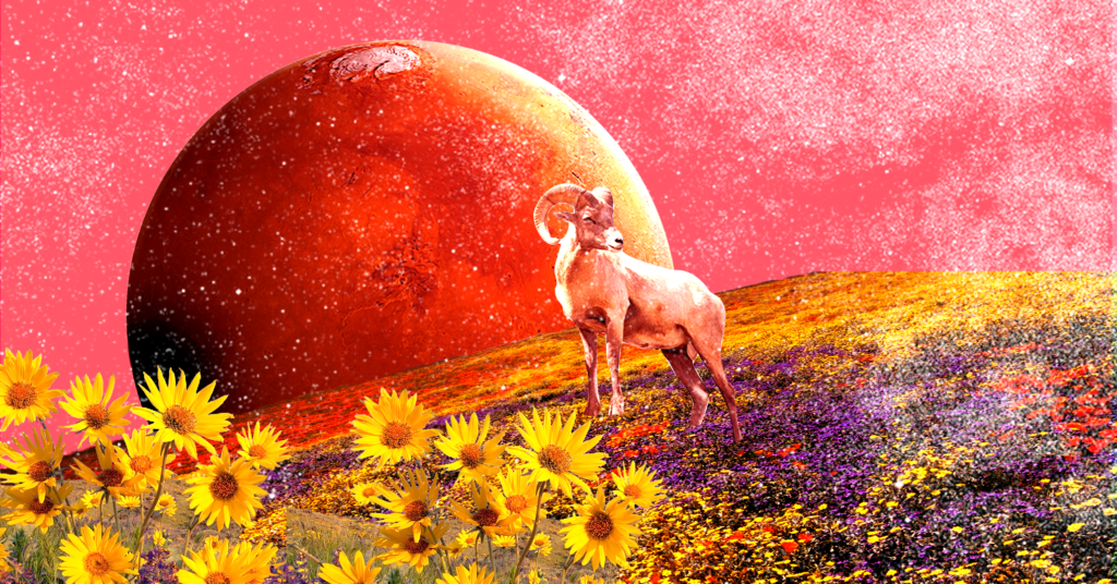 Aries and Onward How 2022 Is Unfolding For The Signs